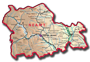Județul Neamț