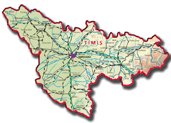 Județul Timiș